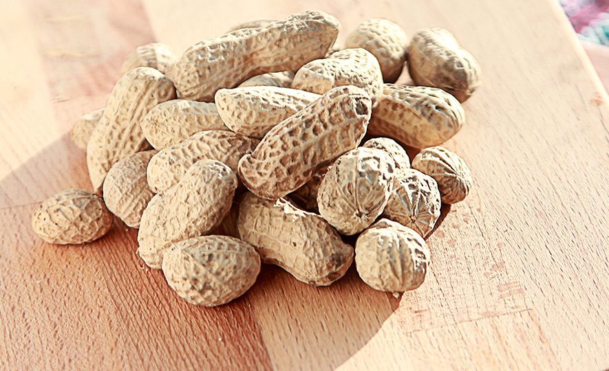 Longyan peanuts